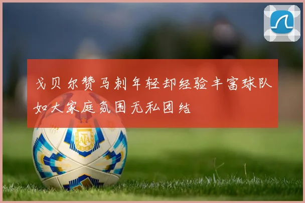 戈贝尔赞马刺年轻却经验丰富球队如大家庭氛围无私团结